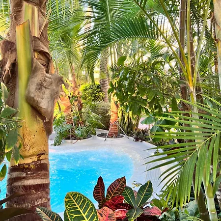 Apartament Seaview Modern Studio Playa de las Americas (Tenerife)